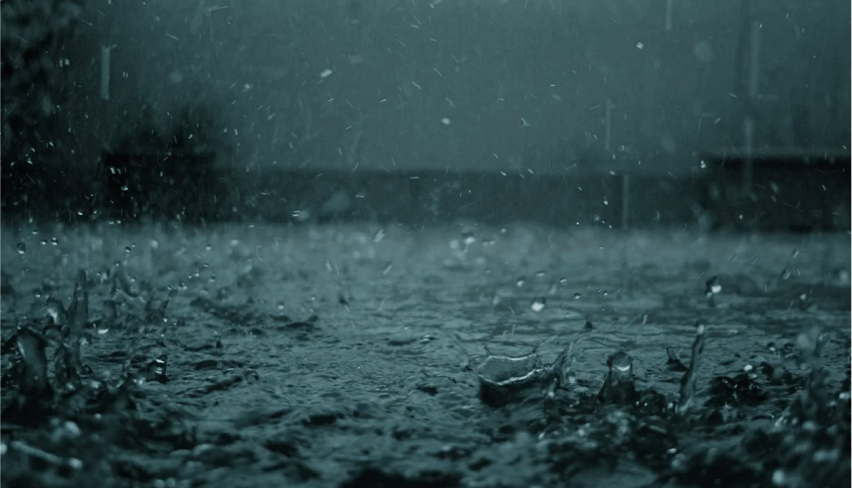 Rain